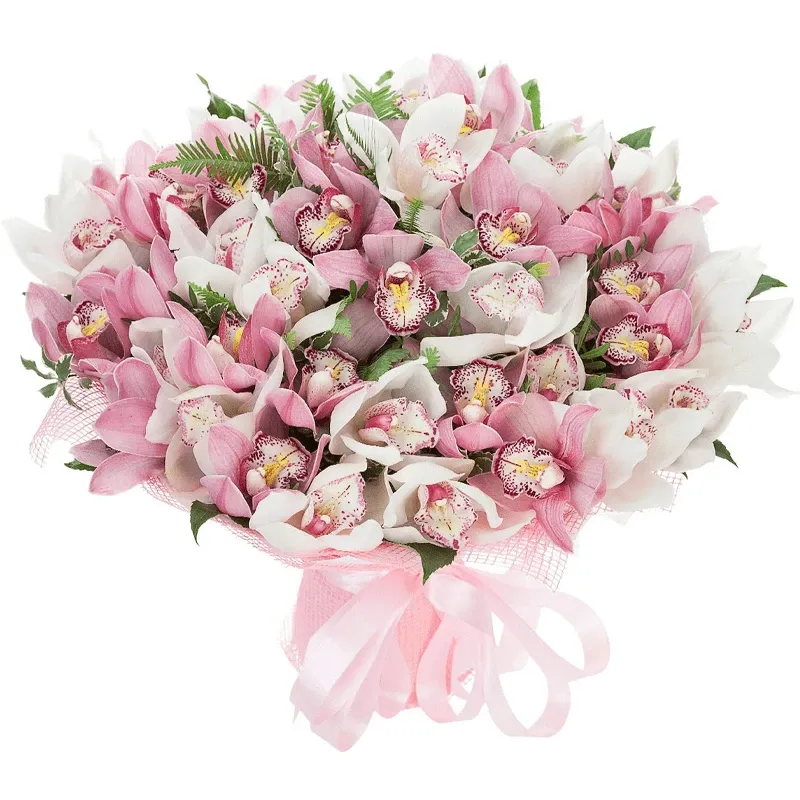 Орхидея микс бело-розовый
